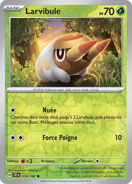 Larvibule Reverse