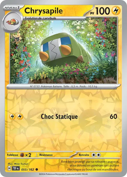 Chrysapile Reverse