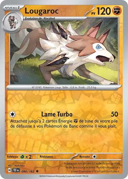 Lougaroc Reverse