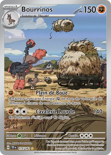 Bourrinos