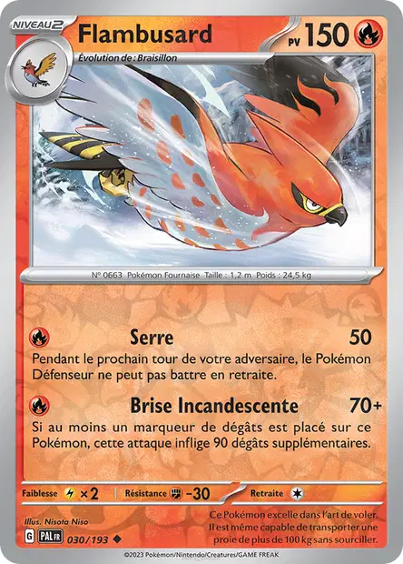 Flambusard Reverse