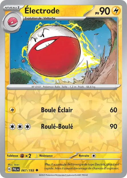 Électrode Reverse