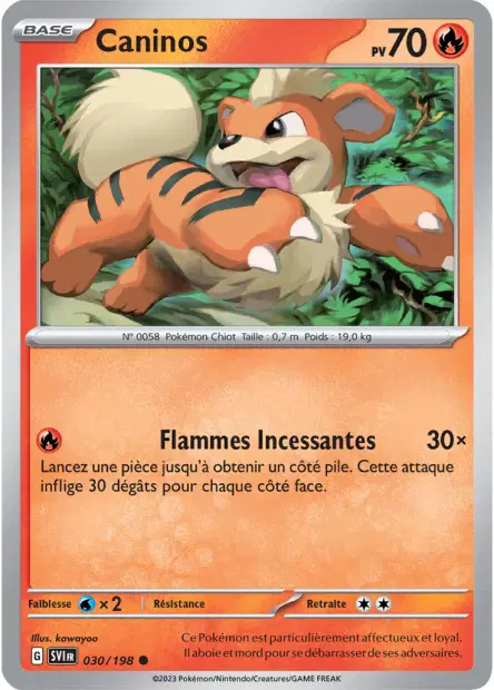 Caninos
