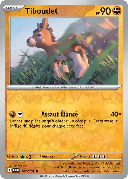 Tiboudet Reverse