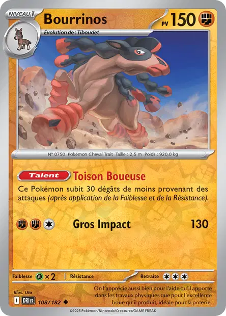 Bourrinos Reverse