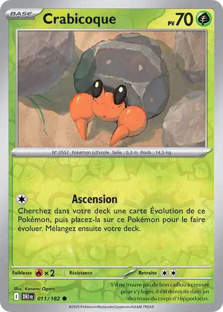 Crabicoque Reverse