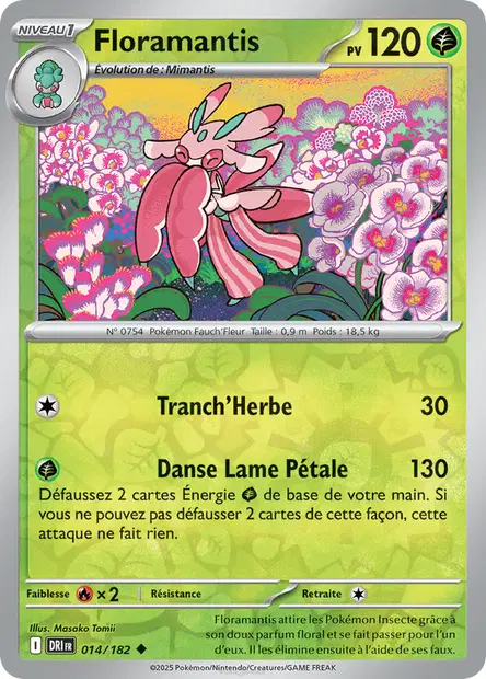 Floramantis Reverse