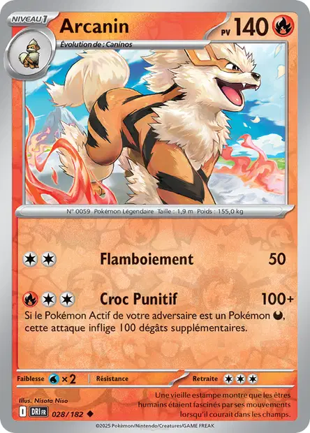 Arcanin Reverse