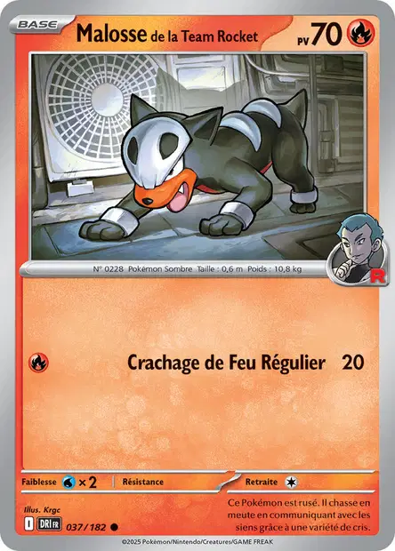 Malosse de la Team Rocket