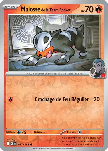 Malosse de la Team Rocket Reverse