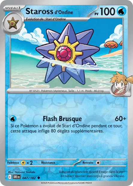 Staross d'Ondine Reverse