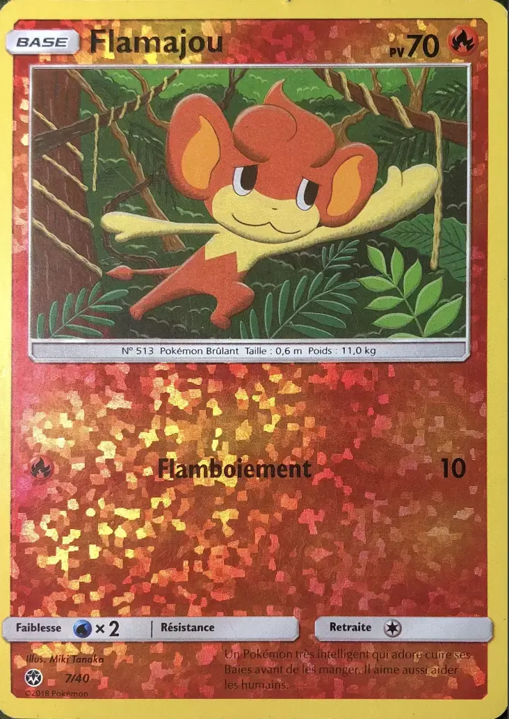 Flamajou Reverse