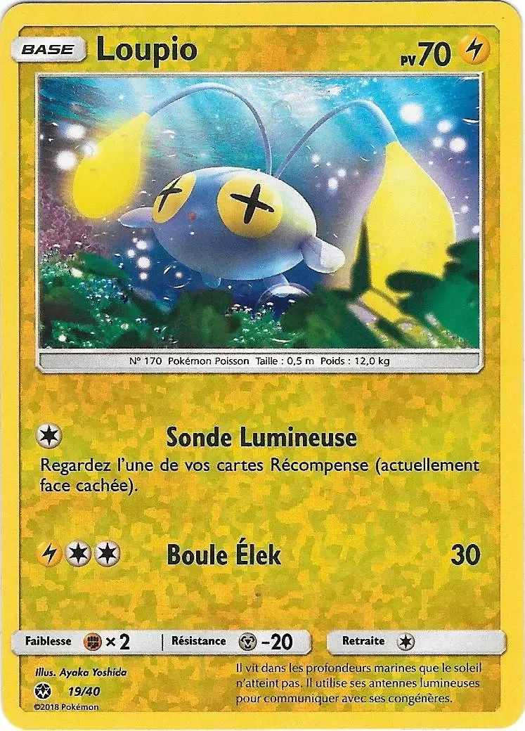 Loupio Reverse