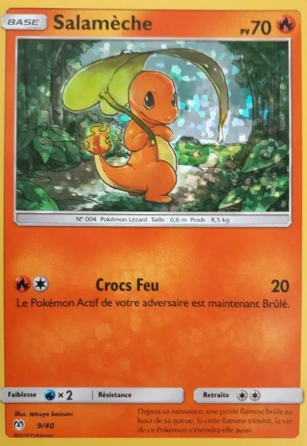 Salamèche Holo