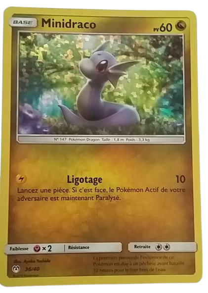 Minidraco Holo