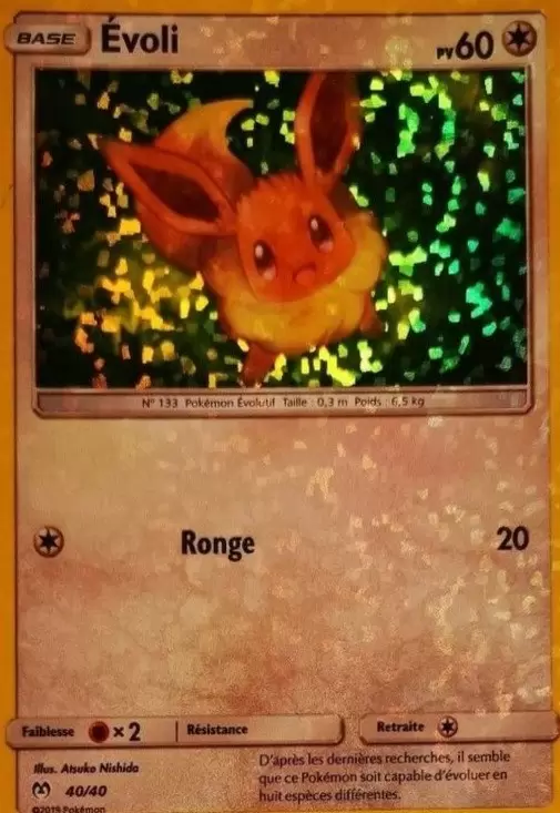 Évoli Holo