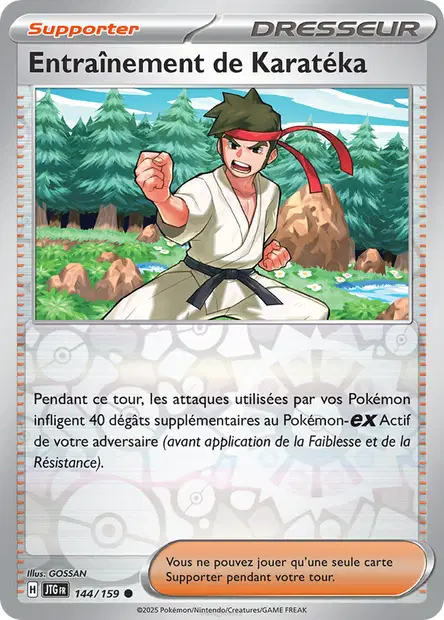 Entraînement de Karatéka Reverse