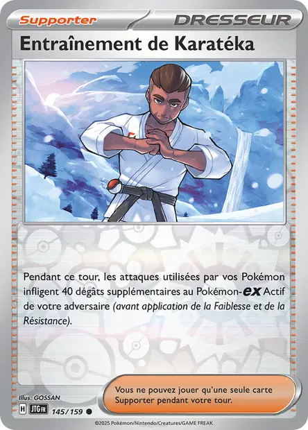 Entraînement de Karatéka Reverse