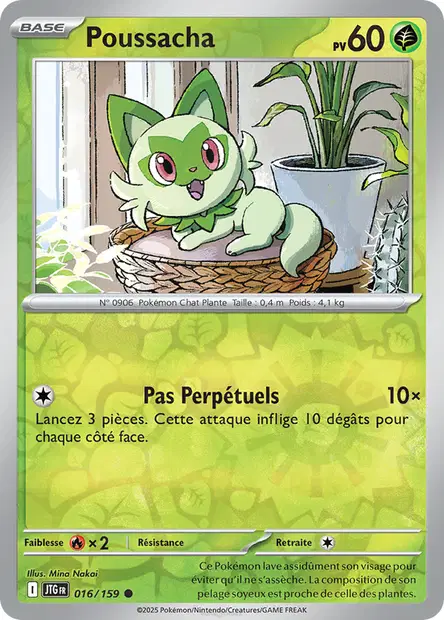 Poussacha Reverse