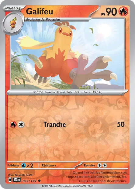 Galifeu Reverse