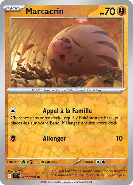 Marcacrin Reverse