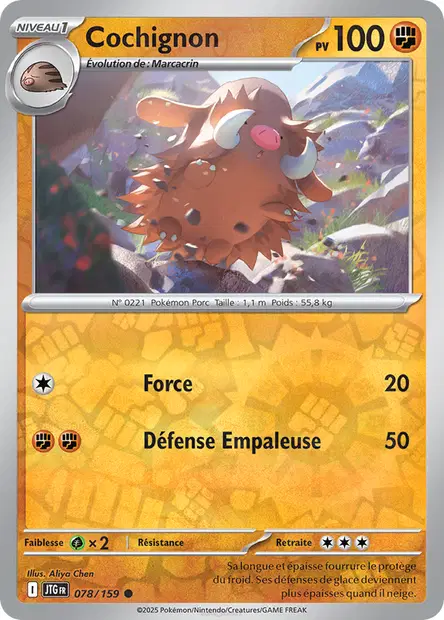 Cochignon Reverse