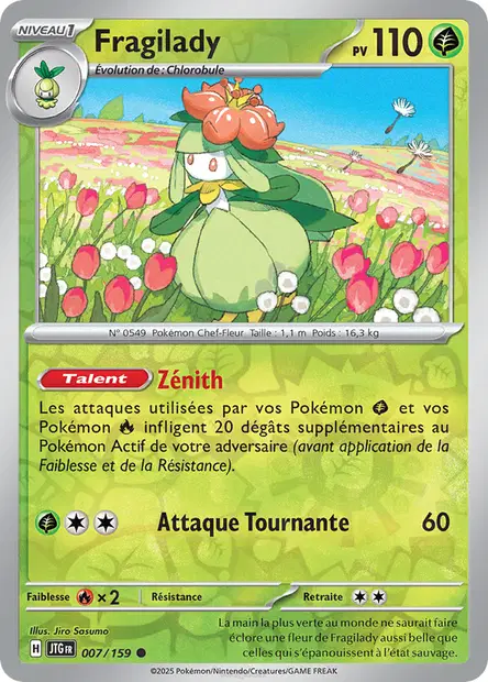 Fragilady Reverse