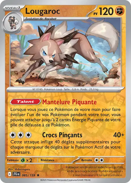 Lougaroc Reverse