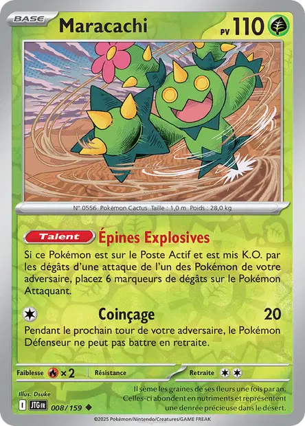 Maracachi Reverse