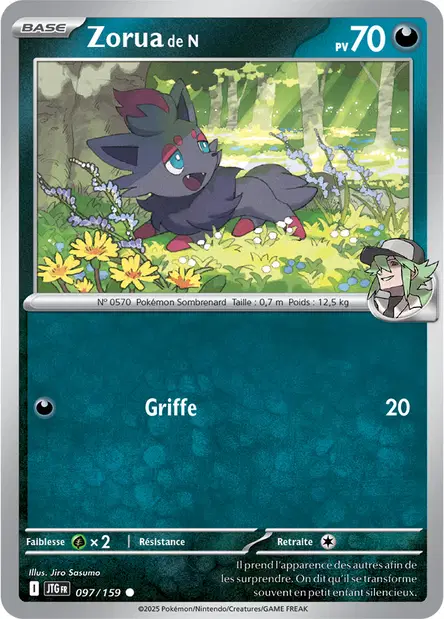 Zorua de N